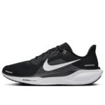 Nike Pegasus Men's Shoes
