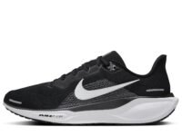Nike Pegasus Men's Shoes