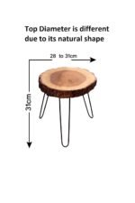 Sheesham Wood Small End Table/Side Table/Plant Stand/Round Stool with Hairpin Legs for Home Decor (Wood Natural)