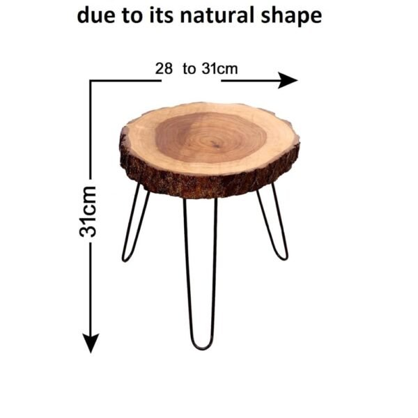 Sheesham Wood Small End Table/Side Table/Plant Stand/Round Stool with Hairpin Legs for Home Decor (Wood Natural)