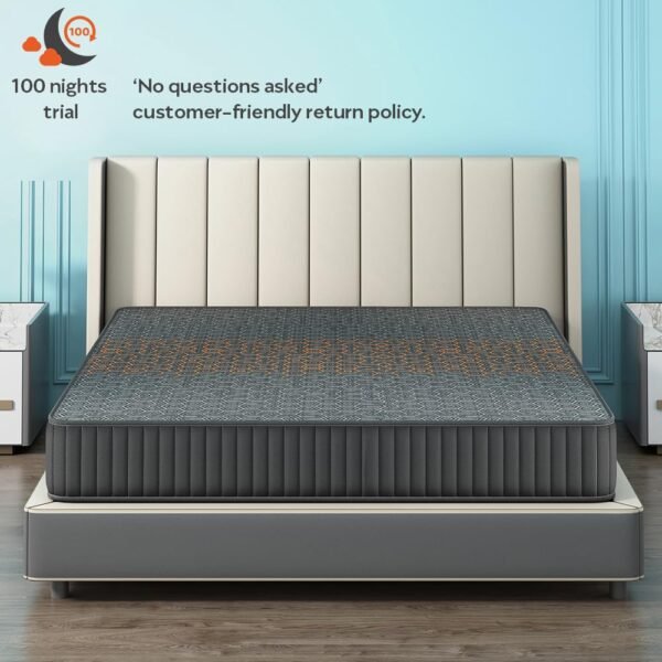 Sleepyhead Technic Hybrid - 3 Zone 6D Hexagon Grid Mattress with 3 Zone Pocket Spring |10 Years Warranty |Medium Firm |3000 Air Pockets for Air Circulation |6 Inch King Size Bed Mattress (78x72x6)