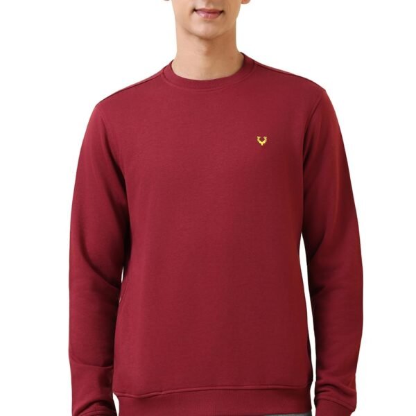 Allen Solly Men's Cotton Crew Neck Sweatshirt