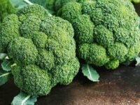 Broccoli seeds organic (80 seeds)