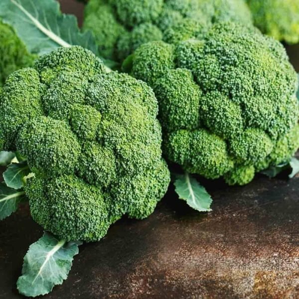 Broccoli seeds organic (80 seeds)