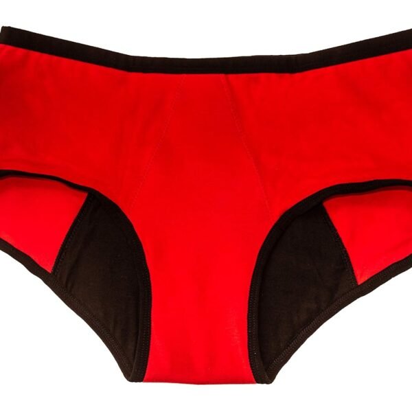 HEALTHFAB ; The Fabulous You Gopadfree Heavy Period Panty Hipster Leak Proof Underwear for Medium to Heavy Flow,Reusable for 2 Years Without Pads, Pack of 1