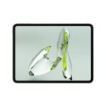 OnePlus Pad Go 28.85Cm 2.4K 7:5 Ratio Readfit Eye Care LCD Display,Dolby Atmos Quad Speakers,4G LTE(Calling) + Wi-Fi Connectivity Tablet,8Gb Ram 256 Gb Storage Expandable Up-to 1Tb,Green