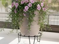 Orion | Round Plant Stands for Balcony Rust Proof Flower Pot Stand Galvanized Metal with 7 Layer Coating (Set of 1)