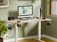 ARTIKEL Artidesk Eco Electric Height Adjustable Table for Office Work & Home-Sit Stand Gaming Desk 80kg Load, Cup Holder, 2 Hooks,Cable Organizer 2Split Tabletop (Light Oak, 100x60 CM)