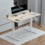 JIN OFFICE Zenith Electric Height Adjustable Table| Standing Desk with 100 Kg Wt. Capacity & 3 Year Warranty| Ergonomic Desk| Sit Stand Table with 3 Memory Preset| White & Maple|1200X750mm/25MM Thick