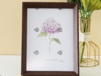 Kuber Industries Photo Frame For Home D?cor|Use Horizontal & Vertical|Crystal Clear Glass|Perfect For Home, Office And Shop "16.7x21.8CM" (Brown)