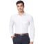 Park Avenue Men's Pure Cotton Fil-A-Fil Pattern Slim Fit Semi Cutaway Collar Full Sleeve Formal Shirt