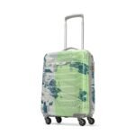Skybags Cabin Trooper 55 Cms Small Abs Hardshellsided 4 Wheels Spinner Printed Luggage/Inline Suitcase/Trolley Back (Pale Green), Large