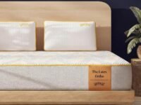 SleepyCat Latex Ortho Mattress | Firm Pinhole Latex Mattress for Back Support | Orthopedic Bed Mattress | Washable Zipper Cover | 10 Year Warranty (Single Size, 78x36x8 Inch)