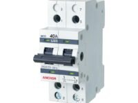 Anchor by Panasonic UNO Series 40 Amp Dual Pole MCB | 2 Pole C Curve MCB | 40A Change Over Switch Circuit Breaker (White, 98083)