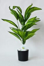 Blooming Floret Artificial Cast-Iron Plant | Big Ornamental Plant for Interior Decor/Home Decor/Office Decor | 26 Leaves with Basic Black Pot | 71.1 cm Tall Indoor Plant