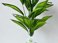 Blooming Floret Artificial Cast-Iron Plant | Big Ornamental Plant for Interior Decor/Home Decor/Office Decor | 26 Leaves with Basic Black Pot | 71.1 cm Tall Indoor Plant