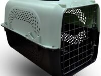 Dog Trust Pet Travel Carrier Dog Cat Rabbit Basket Plastic Handle Hinged Door Folding Collapsible Transport Box Crate Cage Size 19.5 x 13 x 12.5 Inch for Puppy & Cats