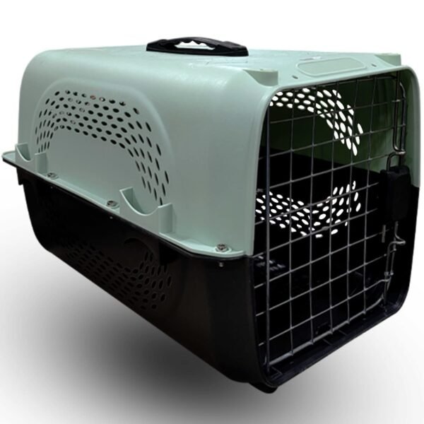 Dog Trust Pet Travel Carrier Dog Cat Rabbit Basket Plastic Handle Hinged Door Folding Collapsible Transport Box Crate Cage Size 19.5 x 13 x 12.5 Inch for Puppy & Cats