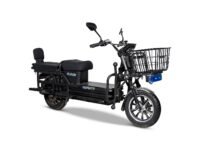 Enfinity Garud Non-RTO Electric Loader Scooter with 60V Removable Lithium-Ion Battery & Charger, 60-70 km Range, 300 kg Weight Capacity