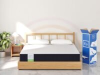 Flo Ortho™ Aloe Vera Infused Orthopedic Mattress with PainRelease™ Technology | Medium Firm Feel | 8 inch Mattress in Queen Size (75x60x8 Inches) | 10 Year Warranty