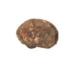 Fresh Yam - Suran, 250 g