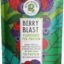 GREEN PROTEIN Plant Protein Isolate Powder, Plant Protein, No Added Sugar, 100% Soy Free, Dairy Free, Gluten Free, Allergen Free, Berry Blast Flavor, 15g Protein Per Serving, Pouch (500g)