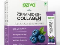 OZiva Phyto Ceramides+ Collagen Builder Supplements | Veg Collagen Powder for Women | Supplement for Skin Hydration, Moisture Retention & Barrier Repair | Blueberry, 30 Sachets