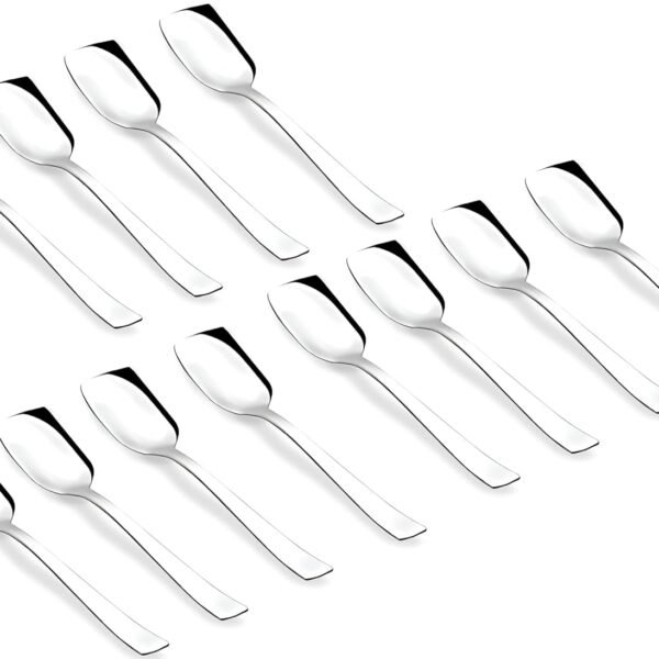 Parage Stainless Steel Set of 12 Ice Cream Spoons, Silverware Spoon Set, Dinner Spoon Length 13.5cm, Food Grade Silverware for Home & Kitchen, Durable Stylish, 12 Silver Spoons