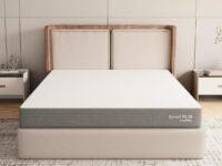 SleepyHug Ortho SpineX Plus Mattress | 4 Inch HR Foam with AirCell Technology | 3-Zone Support for Back Pain Relief & Spine Alignment | 72x36x4 Inch (Single, Grey) | 5-Years Warranty