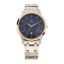 Titan Karishma Quartz Analog With Date Blue Dial Two Toned Silver & Rose Gold Stainless Steel Strap Watch for Men - NT1825KM01