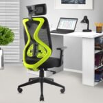 ASTRIDE Ergofit Ergonomic Office Chair for Home | 3-Years Warranty | 2D Headrest, Adjustable Arms & Lumbar Support | Tilt Lock Mechanism [Heavy Duty Nylon Base, Neon Green-Black]