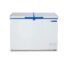 Blue Star CHFDD300DGSW Double Door Deep Freezer (284 L, White)