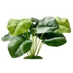 Dekorly Artificial Silk Palm Monstera Leaves Plant For Decorations Beach Wedding Table Decoration | Desk Home Office Indoor Outdoor Decor (Design-A, Green)