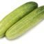 Fresh Organic Cucumber, 500g