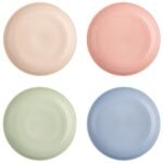 Irida Naturals Planet Friendly Dinner Plates Set - Lightweight & Unbreakable Microwave Safe Serving Plates for Hot & Cold Servings, 10 inch Pack of 4 (Multicolor)