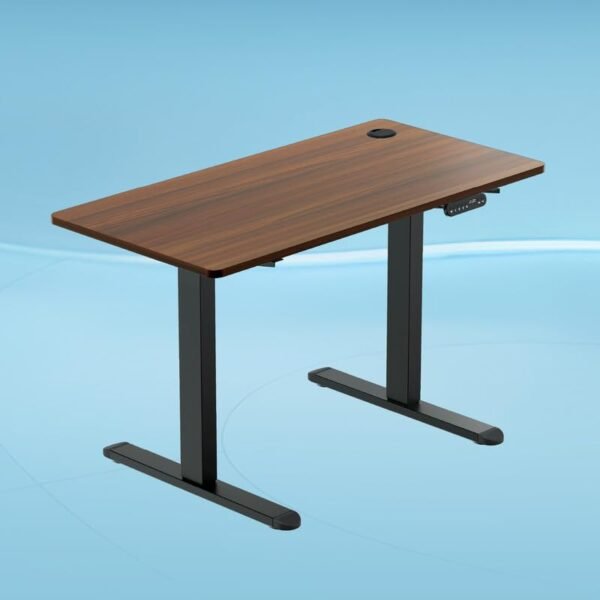 The Sleep Company - AeroPlus Electric Height Adjustable Desk | Ergonomic Work from Home Table | 4 Memory Presets | 2 Years Warranty | 1600 x 700 Thick Top | Free Installation | Wooden & Black
