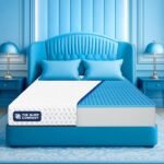 The Sleep Company Orthopedic GRID Mattress | Doctor-Recommended Support for a Healthy Back | Patented SmartGRID Technology | Medium Firm | 10-Year Warranty | Queen Size Bed Mattress | 75x60x6