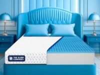 The Sleep Company Orthopedic GRID Mattress | Doctor-Recommended Support for a Healthy Back | Patented SmartGRID Technology | Medium Firm | 10-Year Warranty | Queen Size Bed Mattress | 75x60x6
