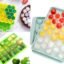 ice Tray