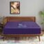 Trance Cotton Feel Terry Ultra Soft Waterproof Mattress Protector | Breathable - Hypoallergenic Mattresses Cover (75x72 inch | 6.25x6 feet,Plum - Pack of 1)