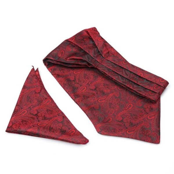 Axlon Tie for Men – Paisley Silk Neck Ties Set with Cufflinks Flower Pin, Pocket Square & Black Gift Box, Combo Necktie Sets for Office Wear, Formal Suits & Weddings (0, ASCPN)