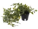 Heart Home Mini Plastic Potted Vine Plant for Home Office Decoration, Plastic Vine with Black Plastic Pots, Fake Plant for Bathroom Decor, Green-KUBMART11602