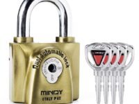 Mindy 60mm Heavy Duty Lock Warehouse Waterproof Keyed Padlock Top Security Lock with 4pcs Keys, Metalic finish, Brass