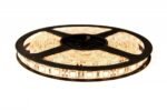 TUCASA-5 Meter Warm White-Yellow led Strip Light-Need to Connect to 5A Adaptor-Adaptor NOT Included-Non Waterproof