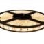 TUCASA-5 Meter Warm White-Yellow led Strip Light-Need to Connect to 5A Adaptor-Adaptor NOT Included-Non Waterproof