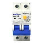 amiciSmart 32A Circuit Breaker with Over Current, Shock Proof, with On/Off Switch for Leakage Protection, 220VAC