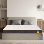 Centuary Mattresses Sleepables Reversible Dual Comfort Firm and Soft High Resilience Foam 8 inch Single Mattress (75x60x8)