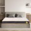 Centuary Mattresses Sleepables Reversible Dual Comfort Firm and Soft High Resilience Foam 8 inch Single Mattress (75x60x8)