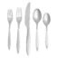 Amazon Basics 20-Piece Stainless Steel Satin Matte Flatware Set, Service for 4
