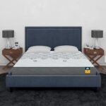 Centuary Mattresses Sleepables 6-Inch King Size Ortho Pocketed Zero Partner Disturbance Plush Quilted Rolled Packed Pocket Spring Mattress (78x72x6)